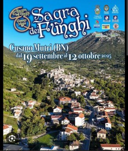 01 Immagine WhatsApp 2025-10-02 ore 09.12.24_0b7dea35