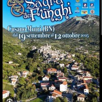 01 Immagine WhatsApp 2025-10-02 ore 09.12.24_0b7dea35